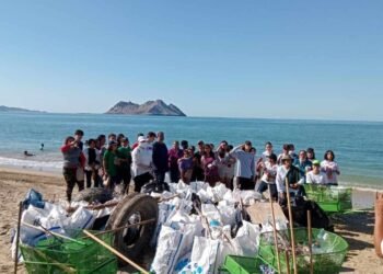 Grupos ambientalistas recolectan más de 500 kilos de basura en Bahía de Kino