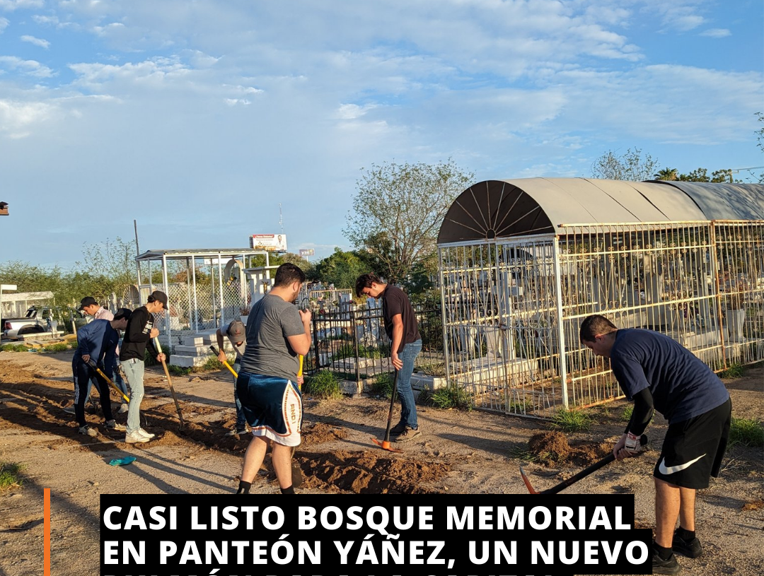 Casi listo el bosque memorial en Hermosillo