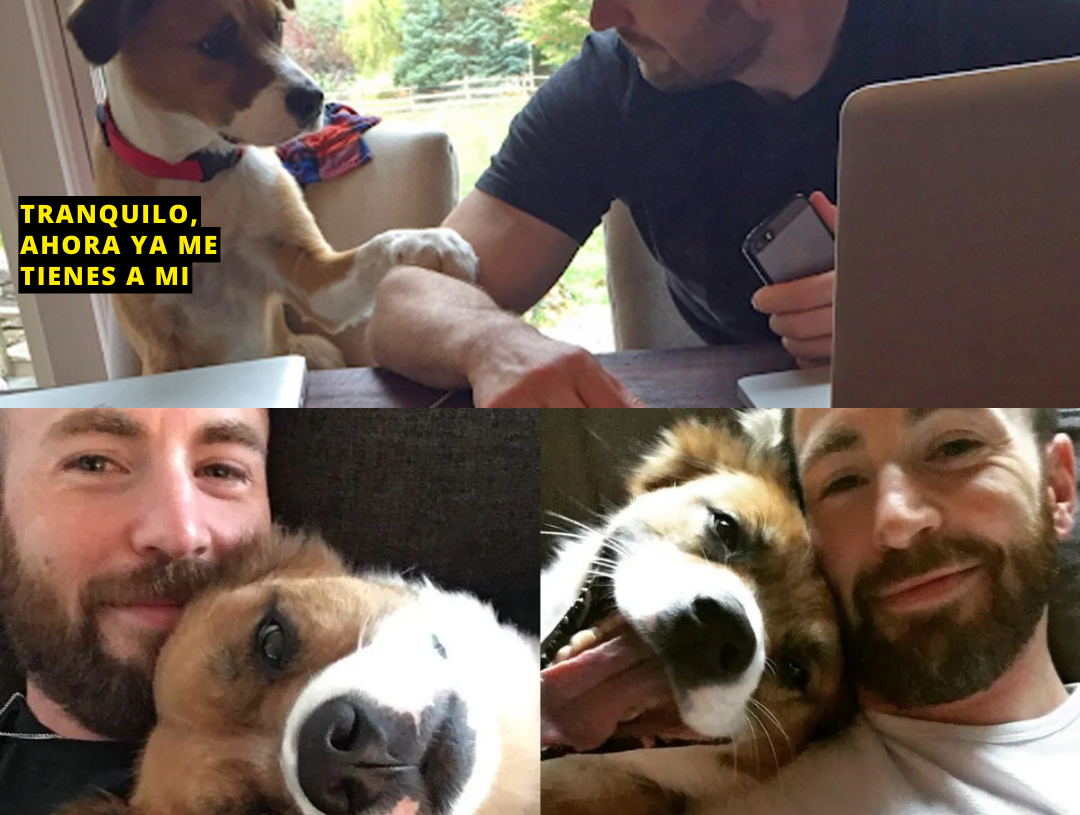 El amor atrapó a Chris Evans