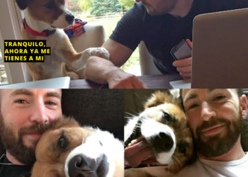 El amor atrapó a Chris Evans