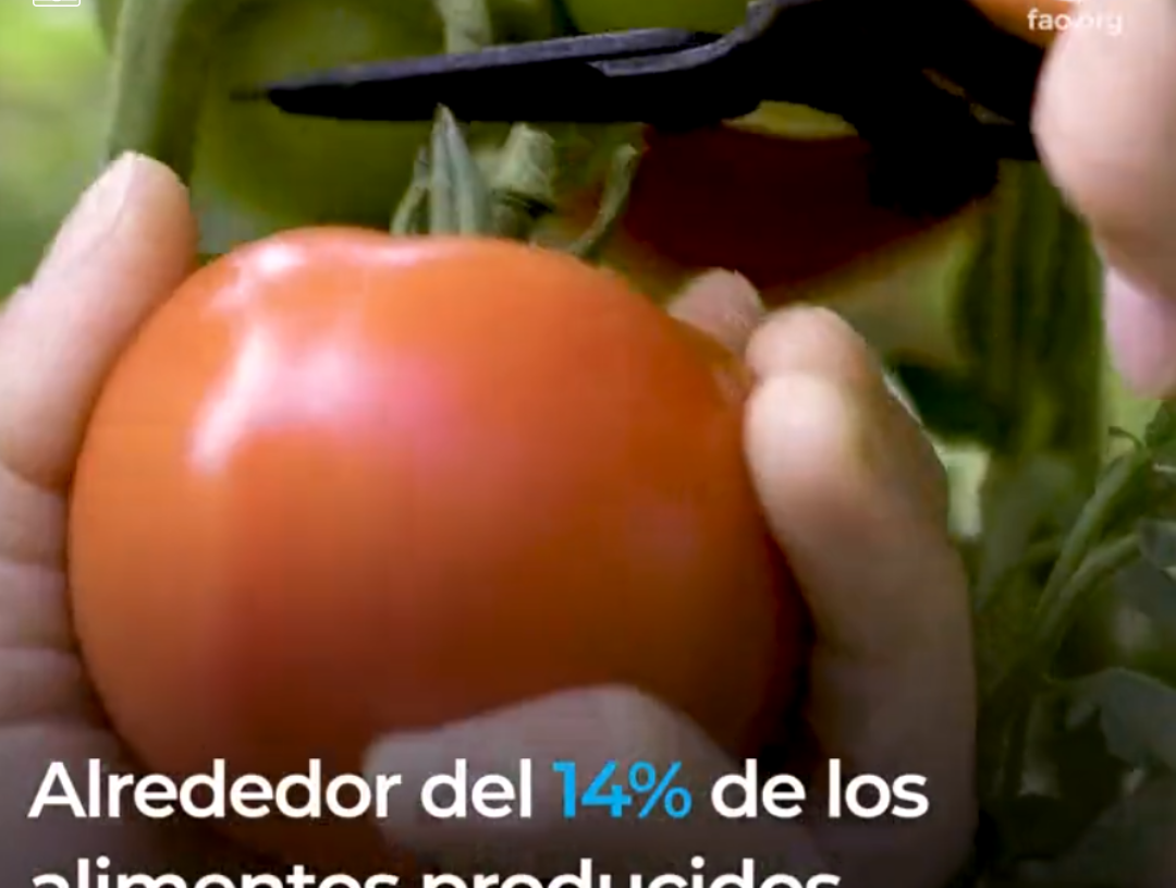 El costo real de los alimentos