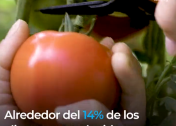 El costo real de los alimentos
