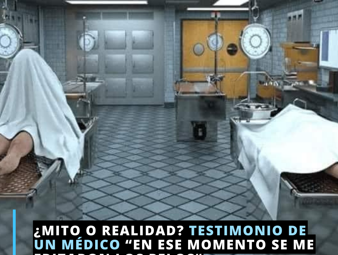 Escalofriante testimonio de un médico legista