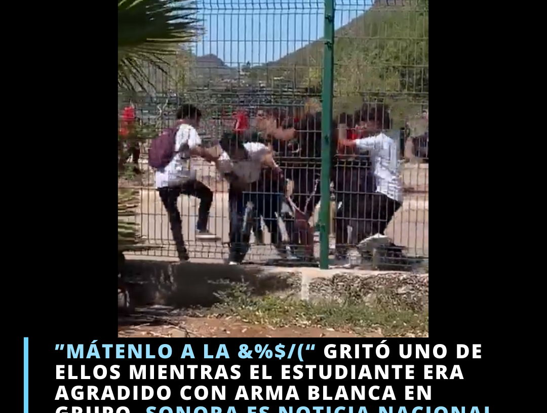 Preocupante nivel de violencia en los jóvenes Preocupante nivel de violencia en los jóvenes