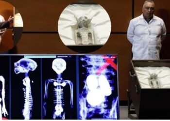 Jaime Maussan presentó “seres no humanos” en Cámara de Diputados