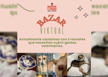 Misión 4 Patas recauda fondos para perros rescatados con bazar virtual