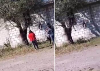 Dos mujeres y un adolescente mataron a un perro al colgarlo de un árbol