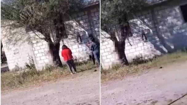 Dos mujeres y un adolescente mataron a un perro al colgarlo de un árbol Dos mujeres y un adolescente mataron a un perro al colgarlo de un árbol