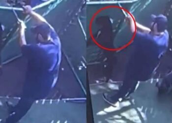 Empleado de ‘Dogtime’ golpea brutalmente a perro que se alojaba en el hotel