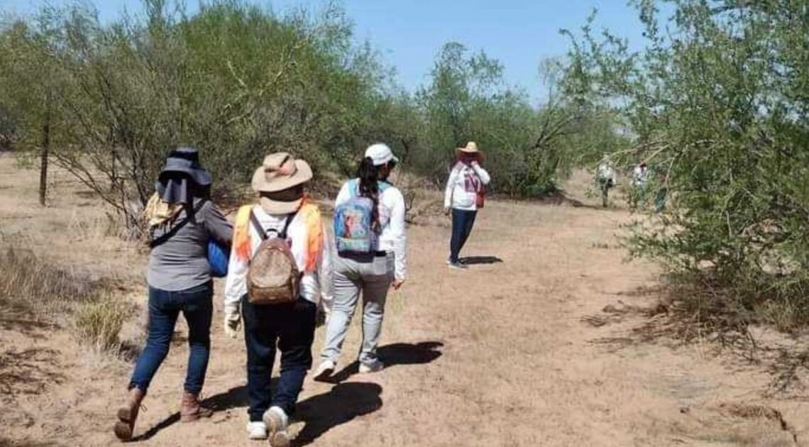 Madres Buscadoras de Sonora son recibidas a balazos al llegar a un punto de búsqueda en la salida Hermosillo – Guaymas Madres Buscadoras de Sonora son recibidas a balazos al llegar a un punto de búsqueda en la salida Hermosillo – Guaymas