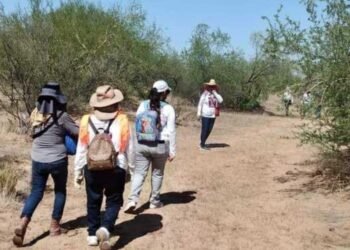 Madres Buscadoras de Sonora son recibidas a balazos al llegar a un punto de búsqueda en la salida Hermosillo – Guaymas