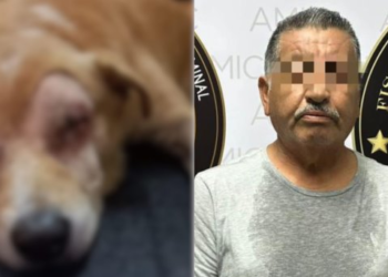 Detienen a sujeto por sacarle los ojos a ‘Rirry’ en el centro de Hermosillo