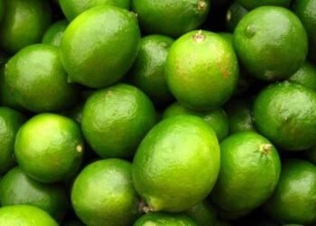 Se triplica el precio del limón en los últimos cinco años