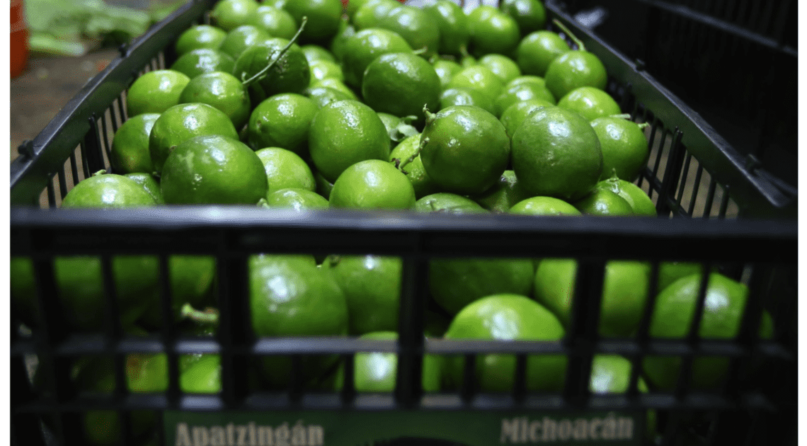 Aumenta 160% precio del kilo de limón; supera los 80 pesos Aumenta 160% precio del kilo de limón; supera los 80 pesos