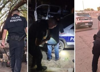 Un total de 593 personas fueron arrestadas del 04 al 10 de septiembre en Hermosillo
