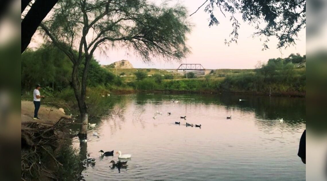Familias disfrutan del Humedal de La Sauceda en Hermosillo conviviendo con los patos y practicando pesca deportiva