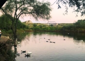 Familias disfrutan del Humedal de La Sauceda en Hermosillo conviviendo con los patos y practicando pesca deportiva