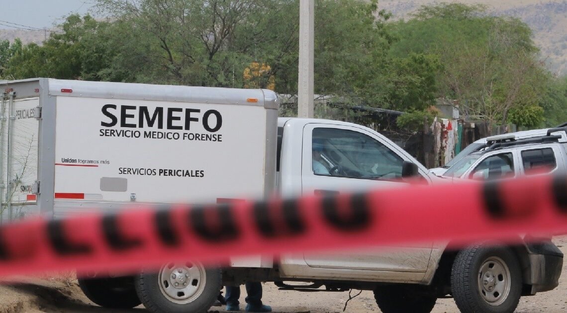 Hallan a 2 adultos, 1 menor y 2 perros sin vida dentro de un vehículo en el Golfo de Santa Clara, Sonora