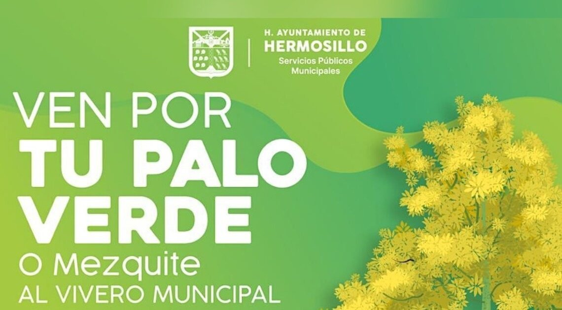 ¡Adopta un árbol! Este sábado se entregarán mezquites y palo verdes en el Vivero Municipal de Hermosillo