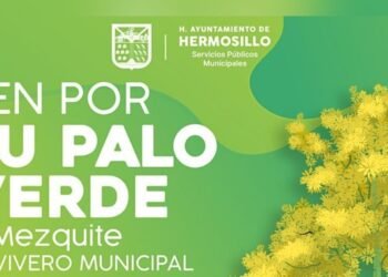 ¡Adopta un árbol! Este sábado se entregarán mezquites y palo verdes en el Vivero Municipal de Hermosillo