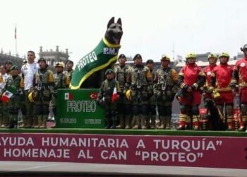 Rinden homenaje a Proteo, el perro rescatista, durante desfile en CDMX