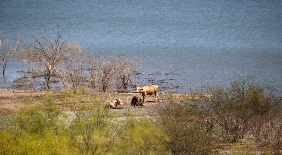 Algunos sectores de Sonora dan apoyo a plan para presa; otros advierten de riesgos