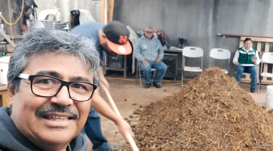 ¡Más barato y de mejor calidad! Luis Enrique cría gallinas ponedoras para consumo familiar en Hermosillo