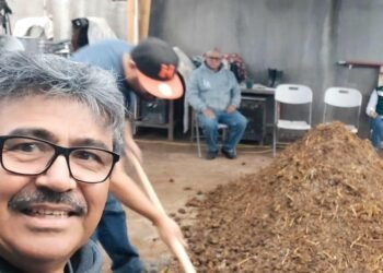 ¡Más barato y de mejor calidad! Luis Enrique cría gallinas ponedoras para consumo familiar en Hermosillo