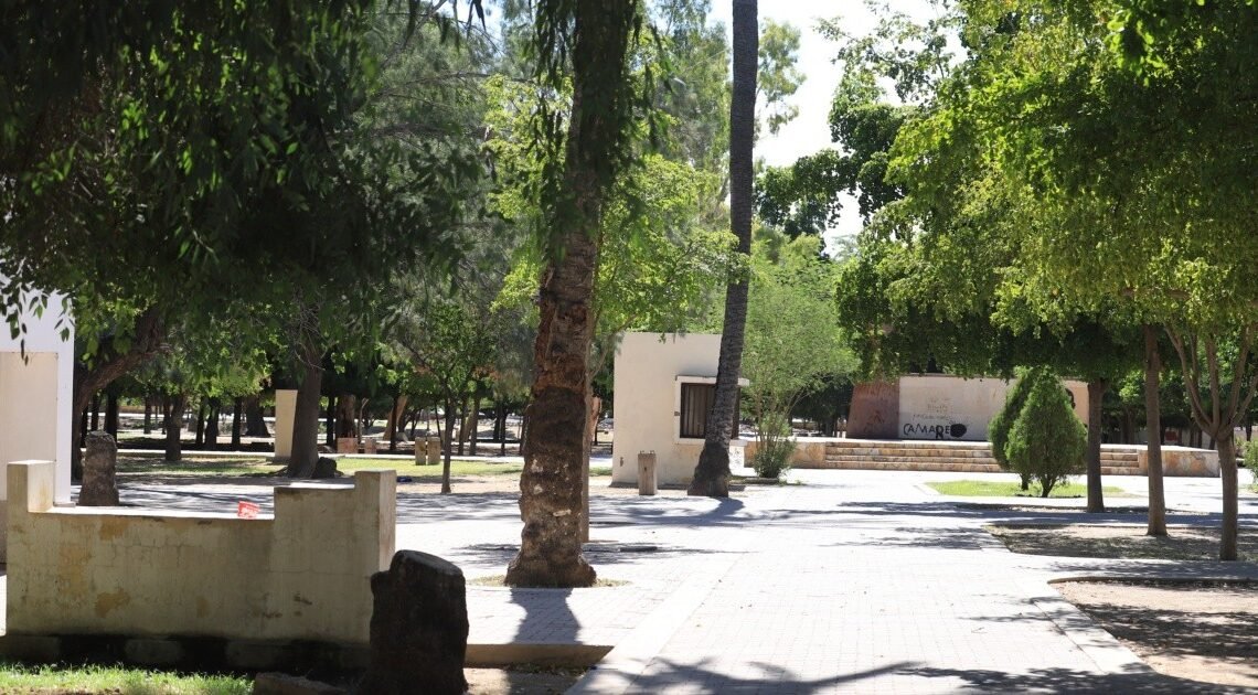 Hermosillo: Se encuentran vendedores del Parque Madero en la incertidumbre tras cierre