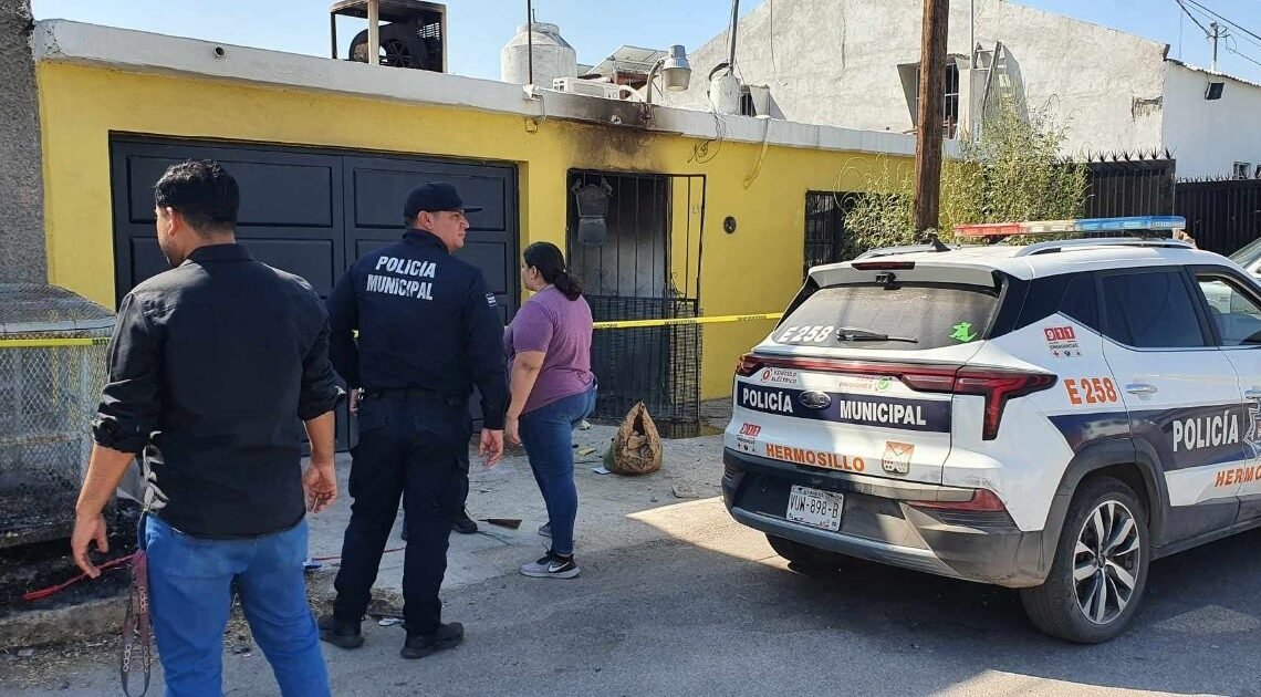 Sobreviven dos de los 15 perritos de la maestra jubilada de la Unison que murió en un incendio Sobreviven dos de los 15 perritos de la maestra jubilada de la Unison que murió en un incendio