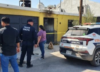 Sobreviven dos de los 15 perritos de la maestra jubilada de la Unison que murió en un incendio