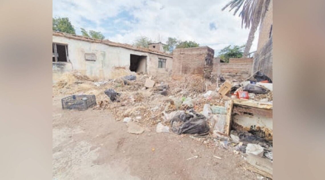 Terreno abandonado se convierte en refugio para ratas y alacranes en la colonia Ley 57