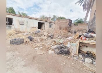 Terreno abandonado se convierte en refugio para ratas y alacranes en la colonia Ley 57