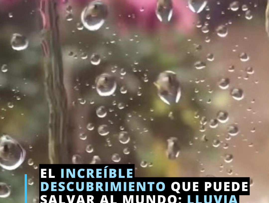 Lluvia Sólida
