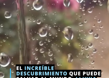 Lluvia Sólida