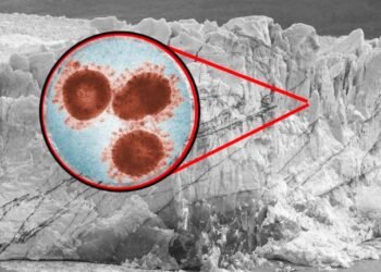 Virus ‘Zombis’ del Permafrost: Una Amenaza Inesperada del Calentamiento Global