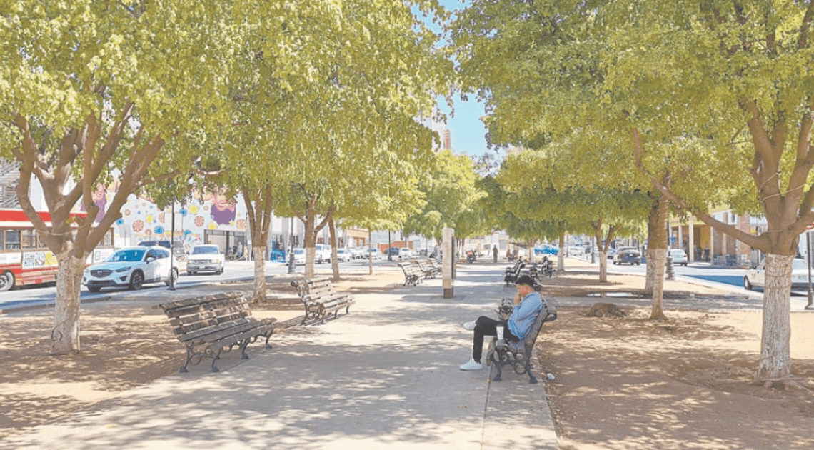 Expertos proponen arborización para enfriar islas de calor en Hermosillo Expertos proponen arborización para enfriar islas de calor en Hermosillo