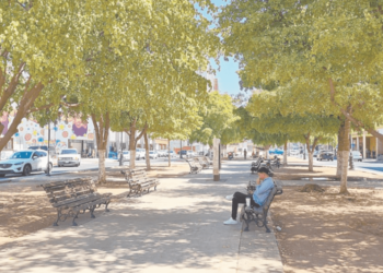 Expertos proponen arborización para enfriar islas de calor en Hermosillo