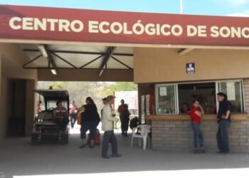 Centro Ecológico de Sonora busca intercambio de especies con zoológicos
