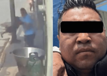 Hombre que arrojó a ‘Scooby’ a un cazo con aceite, podría quedar en libertad