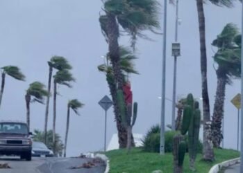 Más de 109 mil usuarios se quedan sin luz por huracán “Norma”