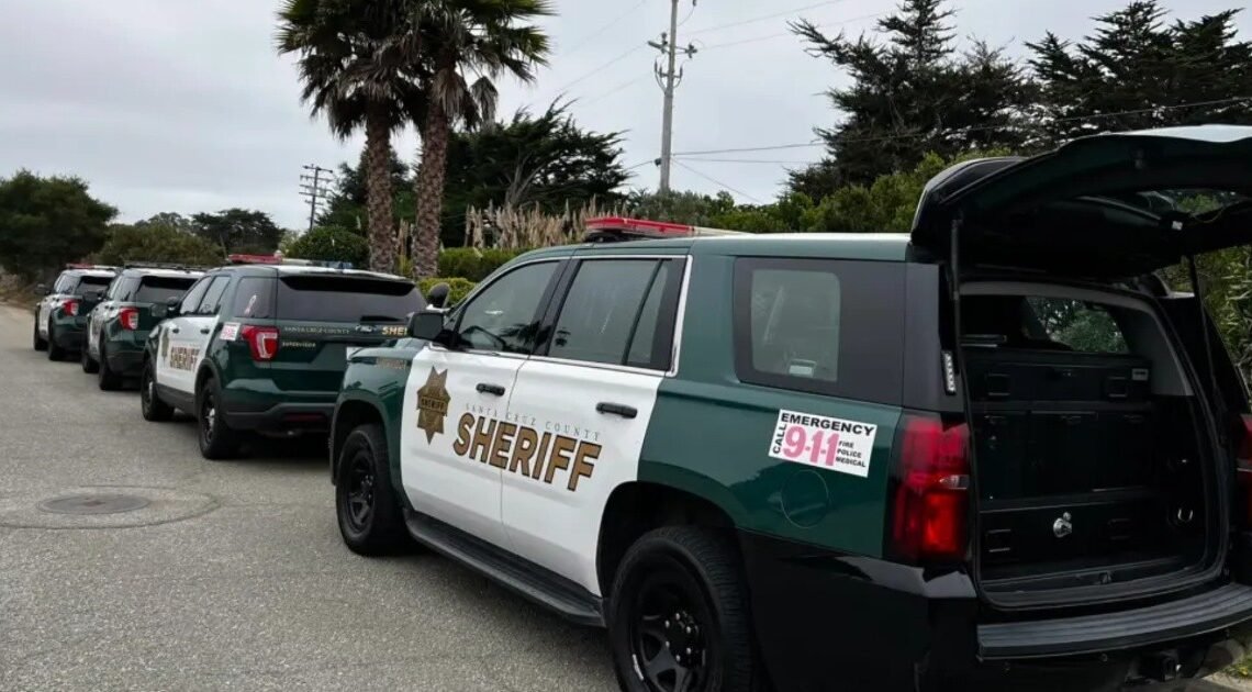Niño de 5 años apuñala y mata a su hermano gemelo en California