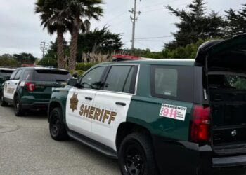 Niño de 5 años apuñala y mata a su hermano gemelo en California
