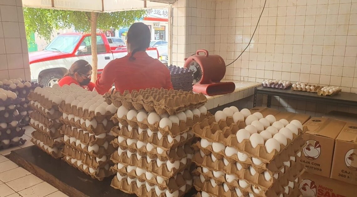 Producción y exportaciones mantienen precio del huevo en Sonora