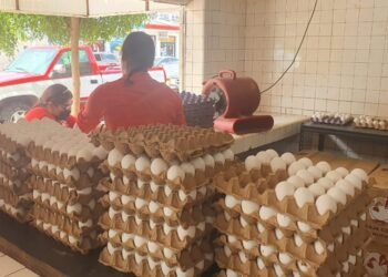 Producción y exportaciones mantienen precio del huevo en Sonora