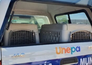 Unepa ha atendido 830 reportes desde su creación en 2022, la mayoría por omisión de cuidados de mascotas