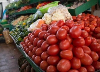 Tiene Sonora la inflación más alta por fin de subsidio de luz