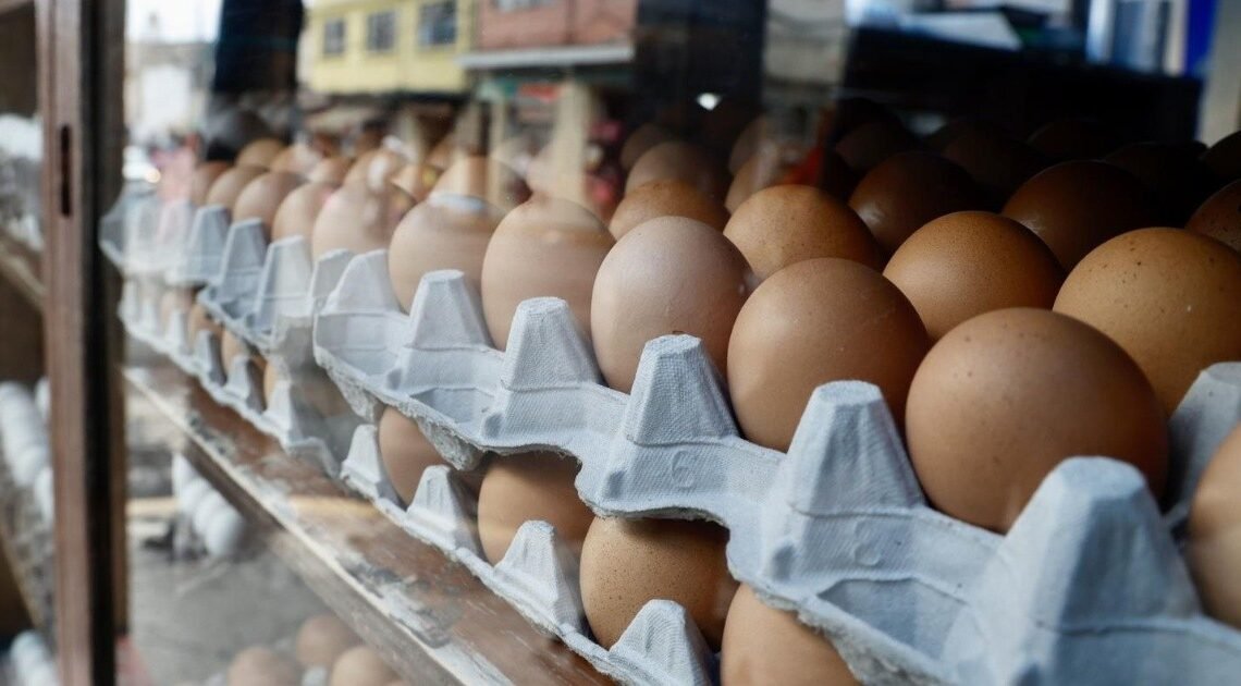 Precio del huevo se mantiene en Sonora a pesar de que se reporta baja producción Precio del huevo se mantiene en Sonora a pesar de que se reporta baja producción