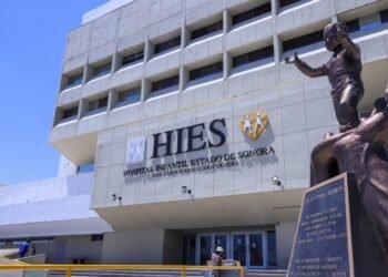 Fue atacado por perros: Niño se encuentra grave al ser herido por canes callejeros