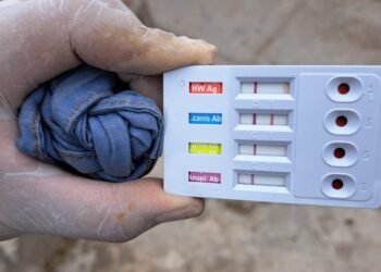 Alertan a Salud Sonora tres posibles casos de rickettsia en Etchojoa